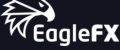 Trying the EagleFX review to figure out the company’s features