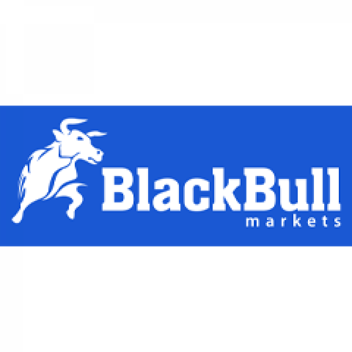 Review of BlackBull Markets - Here Is Eveything You Should Know