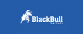 BlackBull Markets Review – What Does This FX Broker Offer?