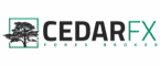 CedarFX review – Everything traders should know